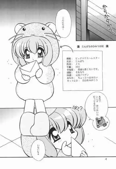 (C56) [Sadakichidou, SEE-SAW (Yamamoto Sadakichi)] Himitsu Nikki