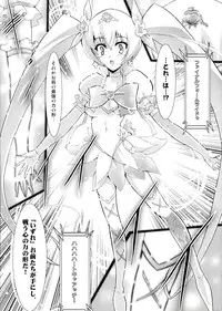 (Puniket 22) [C.R's NEST (Miyabikawa Sakura, C.R)] SILHOUETTE HEART (HeartCatch Precure!)