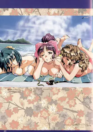 Injuu Gakuen You no Shou Secret File