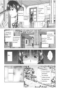 (C81) [Pigeon Blood (Asou Shin)] LOVE OR LUST (Touhou Project) [English]