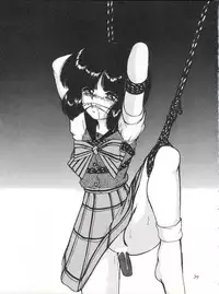 (CR27) [Thirty Saver Street 2D Shooting (Various)] Silent Saturn 11 (Bishoujo Senshi Sailor Moon)