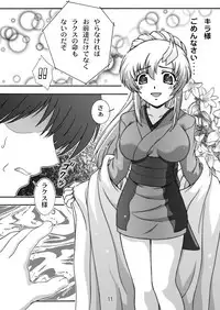 [Studio Wallaby (Takana Yu-ki)] SECRET FILE NEXT 9 - Space of Despair (Gundam Seed) [Digital]