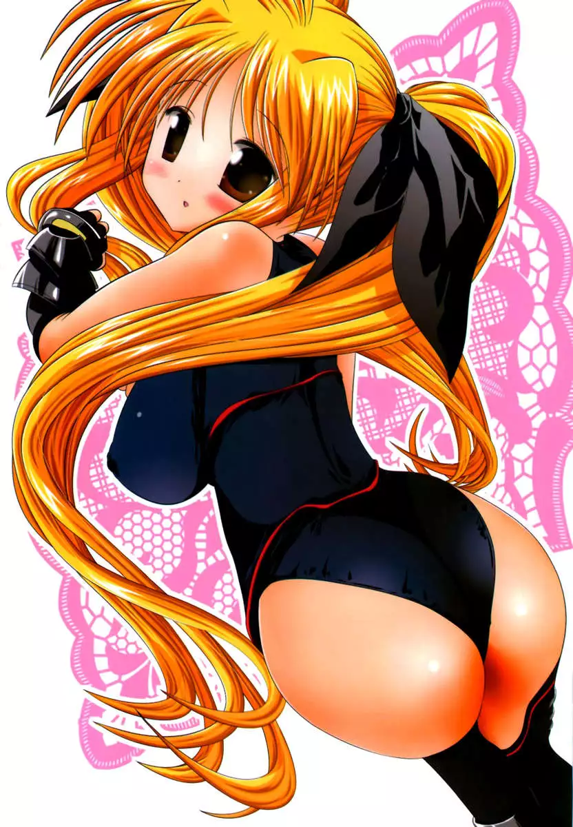 Nyuu NanoFate. I + II All Full Color Soushuuhen