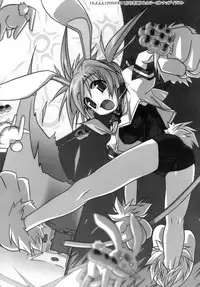 [Akazawa RED] Kupa Resort