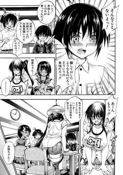 Onee-chan ga Doppelganger ni Netorarechau!