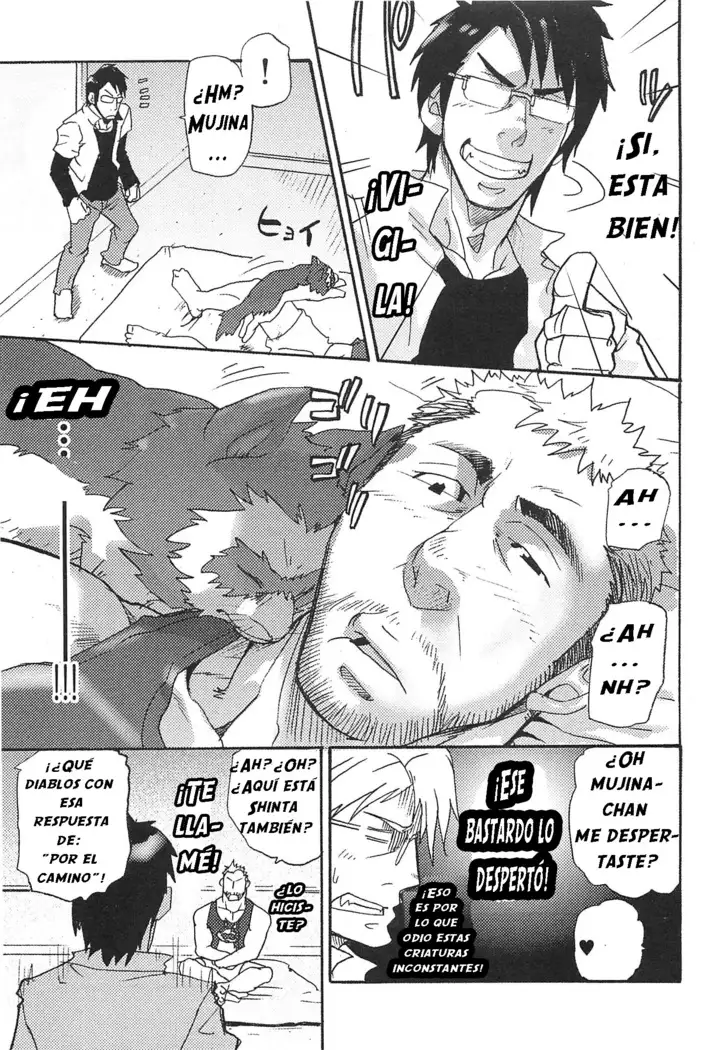 El Tanuki del agujero de un hombre