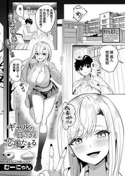 Gal no Me ni sae Koikaze Tamaru