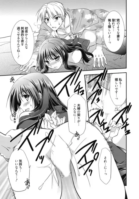 Kimusume Kanojo no Hatsujou Houteishiki