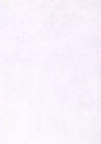 (C65) [MANITOU (Nakajima Rei)] Maggy Bouillon (Read or Die)