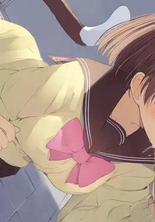 Ore no Kanojo ni wa Nekomimi ga Haeteiru