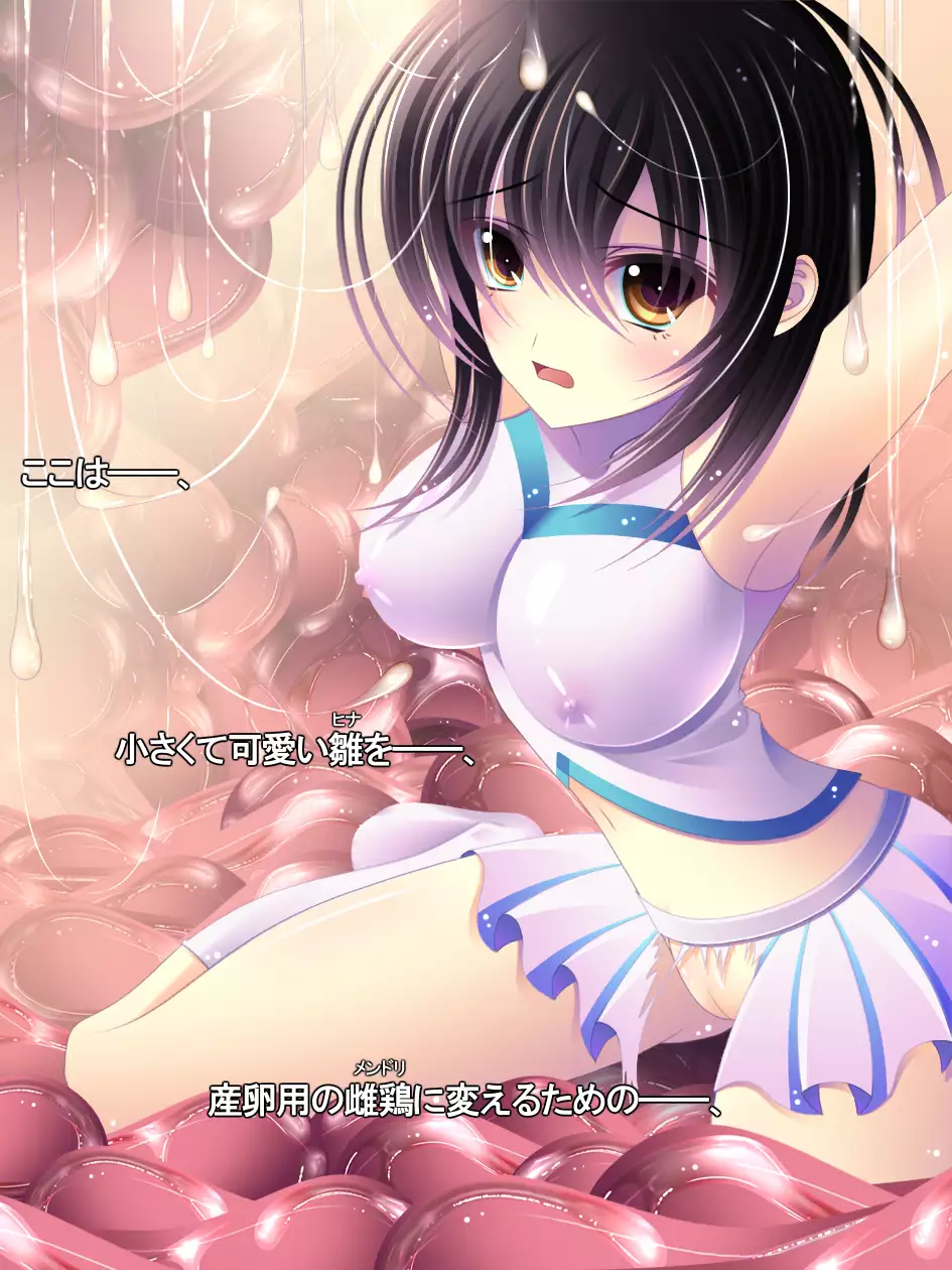 yabure, bakunyu chochichi naedoko ni, benki ni Daraku To sa reru hiroin!~ Hime ￮ setsuna ~