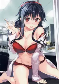 [Yan-Yam] Yan-Yam Fukusei Gengashuu Sukidarake 2