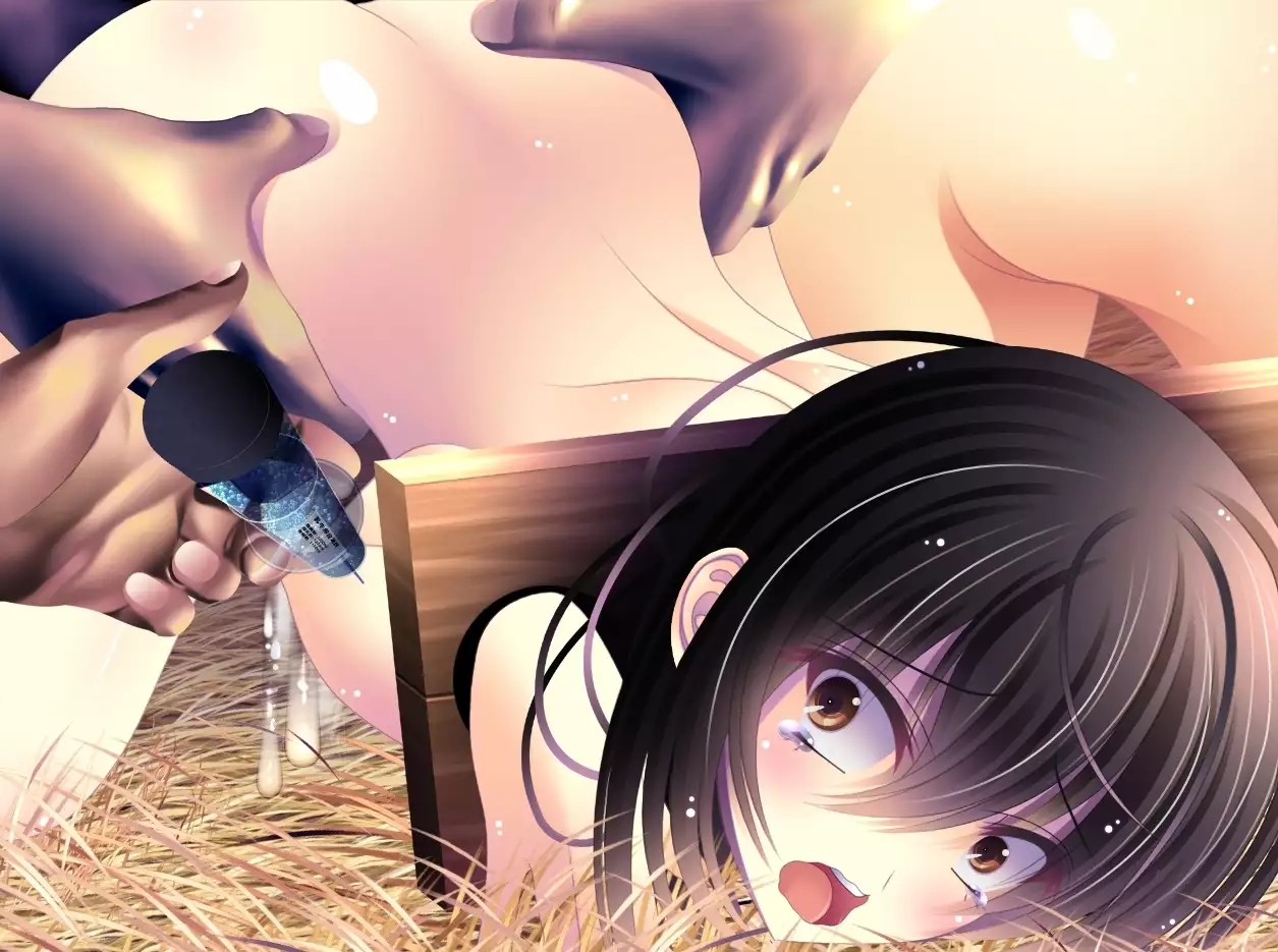 yabure, bakunyu chochichi naedoko ni, benki ni Daraku To sa reru hiroin!~ Hime ￮ setsuna ~