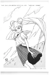 (C44) [N.A.U.S. (Various)] Moon Child (Bishoujo Senshi Sailor Moon, Ranma 1/2)