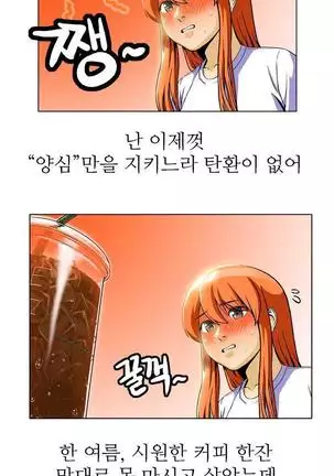 Chauffeur Service Ch.1-30.5