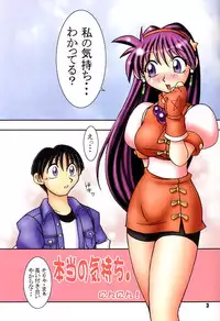 (CR27) [KENIX (Ninnin!, Wan-Pyo)] Nettai Ouhi 4 (King of Fighters)