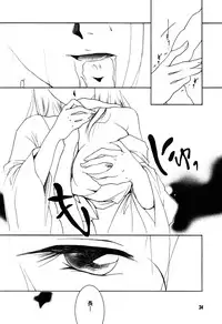 (C87) [Barbaroi no Sato (Ryuuka Ryou)] Hadashi no VAMPIRE 17 (Vampire Princess Miyu)