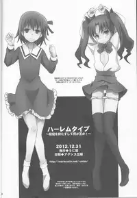 (C83) [Unizo (Unikura)] Harem Type ~Chouki o Motazu Shite Nani ga Ou ka~ (Fate/Stay Night)