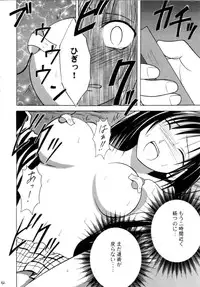 (C66) [Crimson Comics (Carmine)] Gokuraku Soushuuhen (Black Cat)