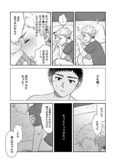 Tsungure Otouto to Kimajime na Ani 2