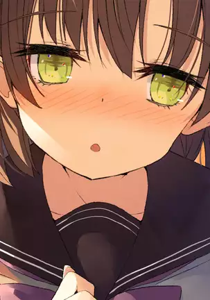 Ore no Kanojo ni wa Nekomimi ga Haeteiru