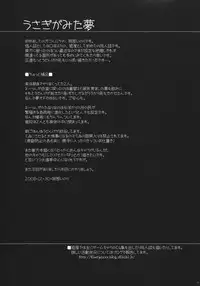 (C75) [Himeya (Abe Inori)] Usagi ga Mita Yume (Touhou Project)