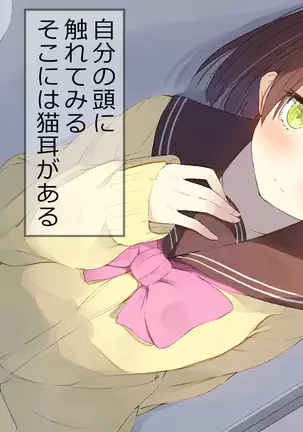 Ore no Kanojo ni wa Nekomimi ga Haeteiru