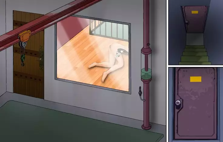 Kyousei Shemale Seiniku Kankin