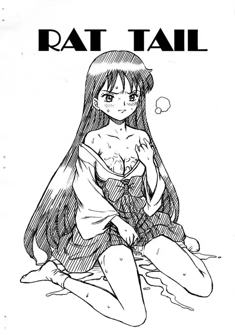 SAILORMOON FILE Hino Rei Gazoushuu