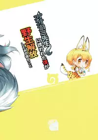 (C92) [MoNyaMoNya (ShiBi)] Ookami Sensei ni Sasowaretara Boku ga Yaseikaihou Shita Ano Yoru no Koto (Kemono Friends) [Chinese]