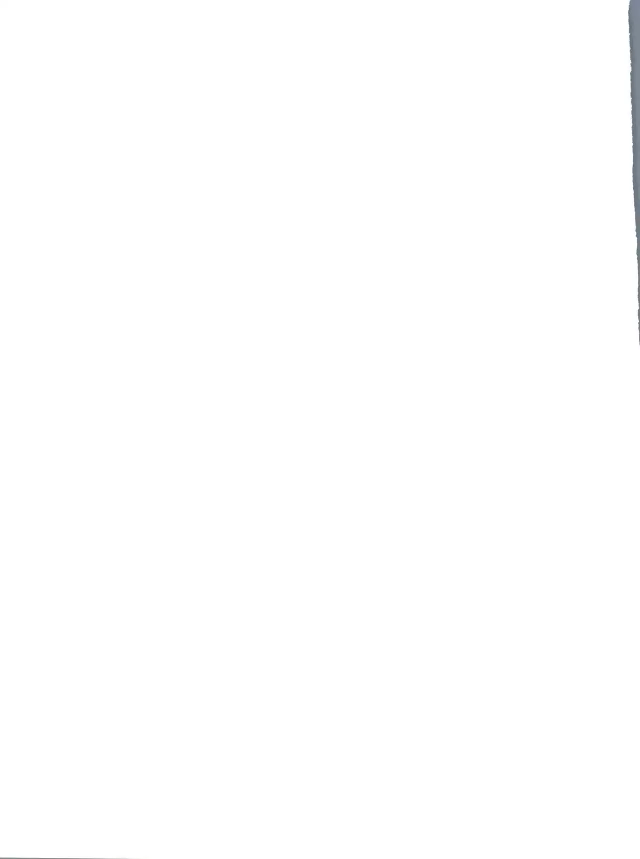 Aki Momo - Autumn Peach