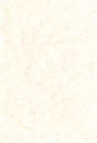 (C72) [Counter Attack (Gyakushuu Takeshi)] Mijuku!! Hanjuku!! Lori Lori Mori!! 6 (Fushigiboshi no Futagohime)