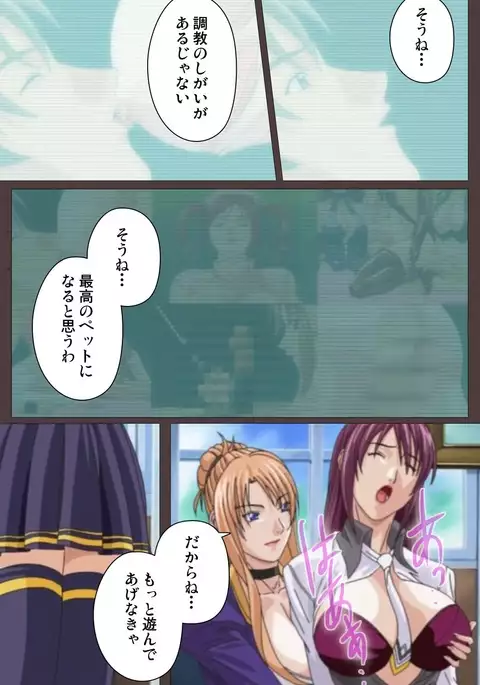 DISCIPLINE Dainishou Complete Ban