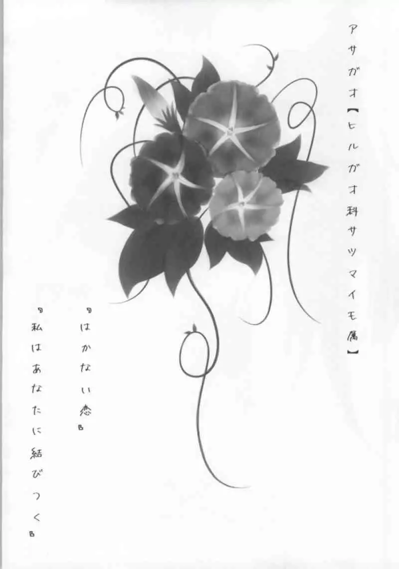 Atashi to Anta ga Musubareru Wake ga Nai