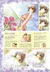 Canvas Visual Fan Book