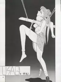 (C42) [Pussy CAT Seisaku Iinkai (Various)] Pussy CAT Vol. 22 Pai-chan Hon 2 (Various)