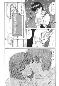 [Akifuji Satoshi] Four Seasons