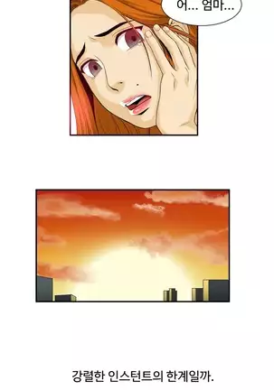 Chauffeur Service Ch.1-30.5