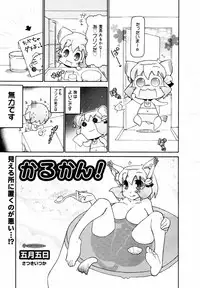 COMIC MEGAPLUS 2007-07 Vol.45