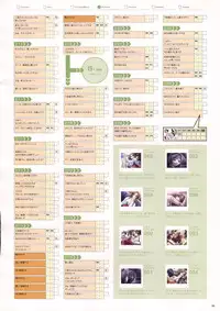 Natural 2 Duo Visual Fan Book