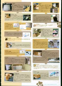 [Megastore Henshuubu, Jellyfish] SISTERS ~ Natsu no Saigo no Hi ~ ULTRA EDITION Official Funbook 1990/0801-0817