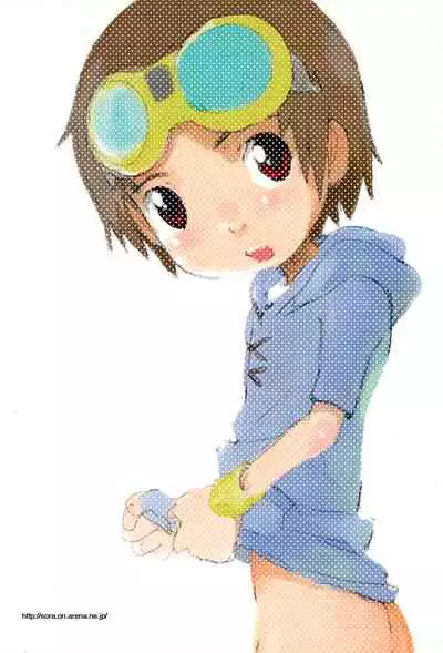 (C66) [Tairana Sora (Amano Manabu)] embrace (Digimon Tamers)