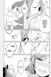 (Bokura no Love Live! 11) [Shobocon (Kitamuratooru)] Sawatte | Please Touch Me (Love Live!) [English] [Sexy Akiba Detectives]