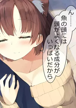 Ore no Kanojo ni wa Nekomimi ga Haeteiru