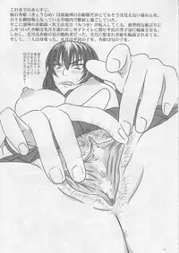 (C74) [Nozarashi (Nozarashi Satoru)] Do-S na Hime wa Kegasareru Haji no San - Kichiku no Utage