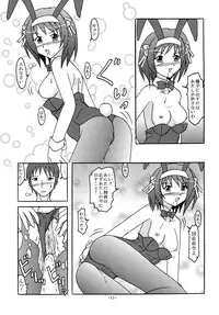[Shiina Club (Rokudou Ashura)] BUNNYxBUNNY (The Melancholy of Haruhi Suzumiya) [Digital]