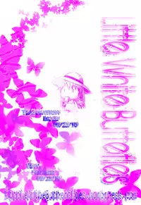 (C78) [Kohakutei (Sakai Hamachi)] Confusion LEVEL A vol.4 (Rebuild of Evangelion) [English] =Imari+Nemesis=