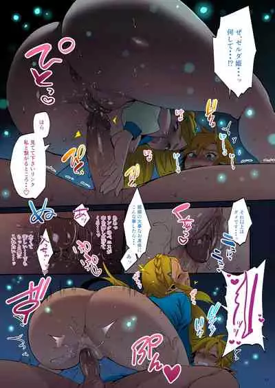 Hyrule Hanei no Tame no Katsudou! | Taking Steps to Ensure Hyrule's Prosperity!