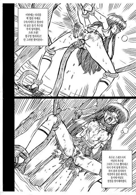 SAILORMOON FILE Hino Rei Gazoushuu