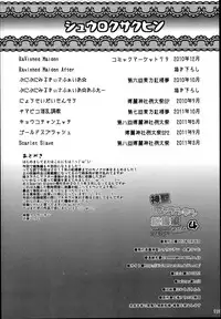 (Reitaisai 10) [Divine Fountain (Koizumi Hitsuji)] Shinsei Fountain Soushuuhen Sonyo 4 (Touhou Project)